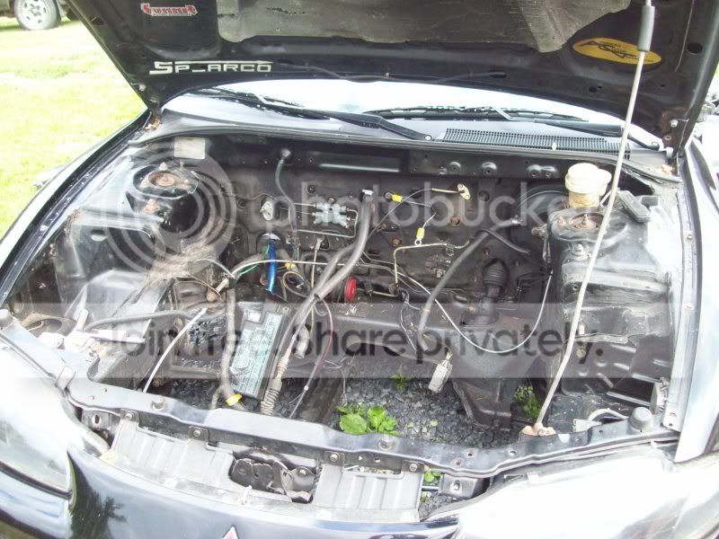 Picture001.jpg