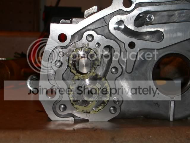 CIMG0010-1.jpg