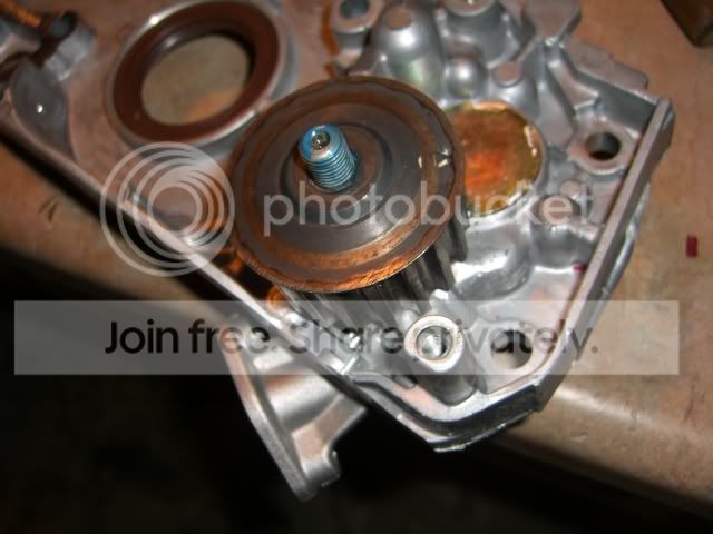 CIMG0020-1.jpg
