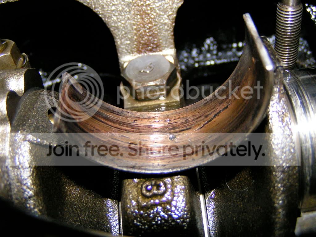 PICT0499.jpg