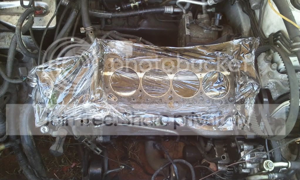 2011-10-26113159.jpg