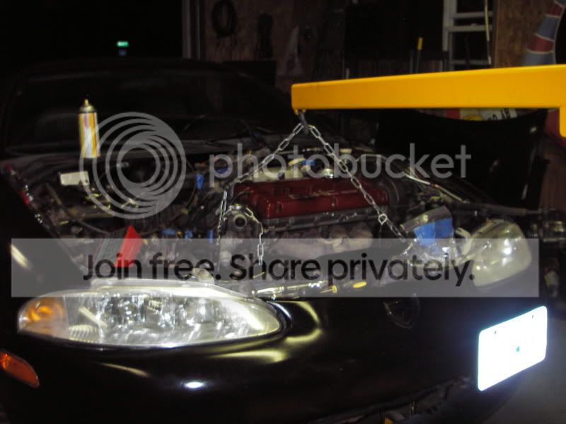 IMGP2410.jpg