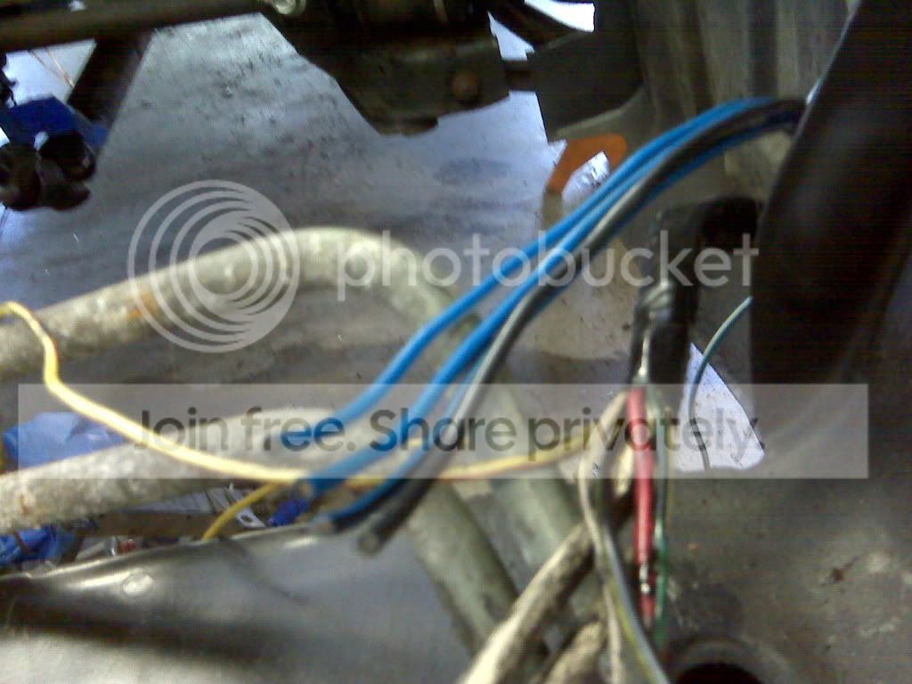 IMG00233.jpg