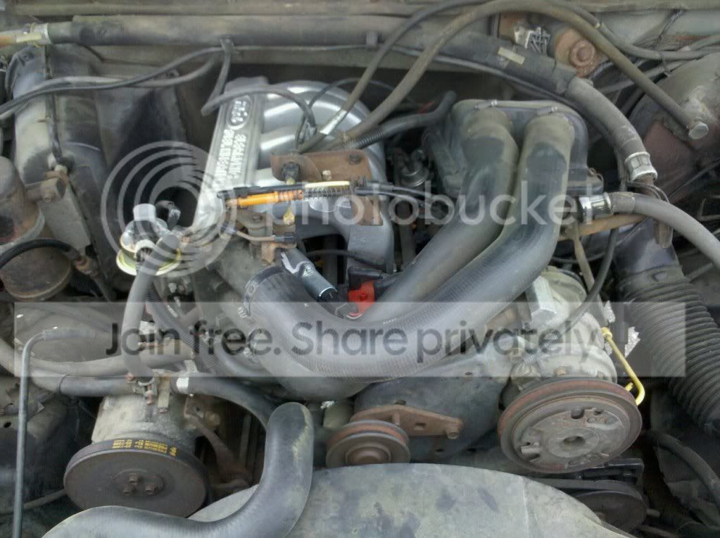 291497_10150358962429108_750234107_9685493_5787411_o.jpg
