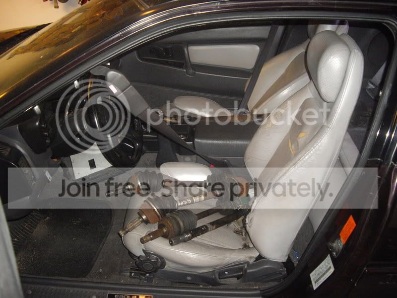 IMGP2537.jpg