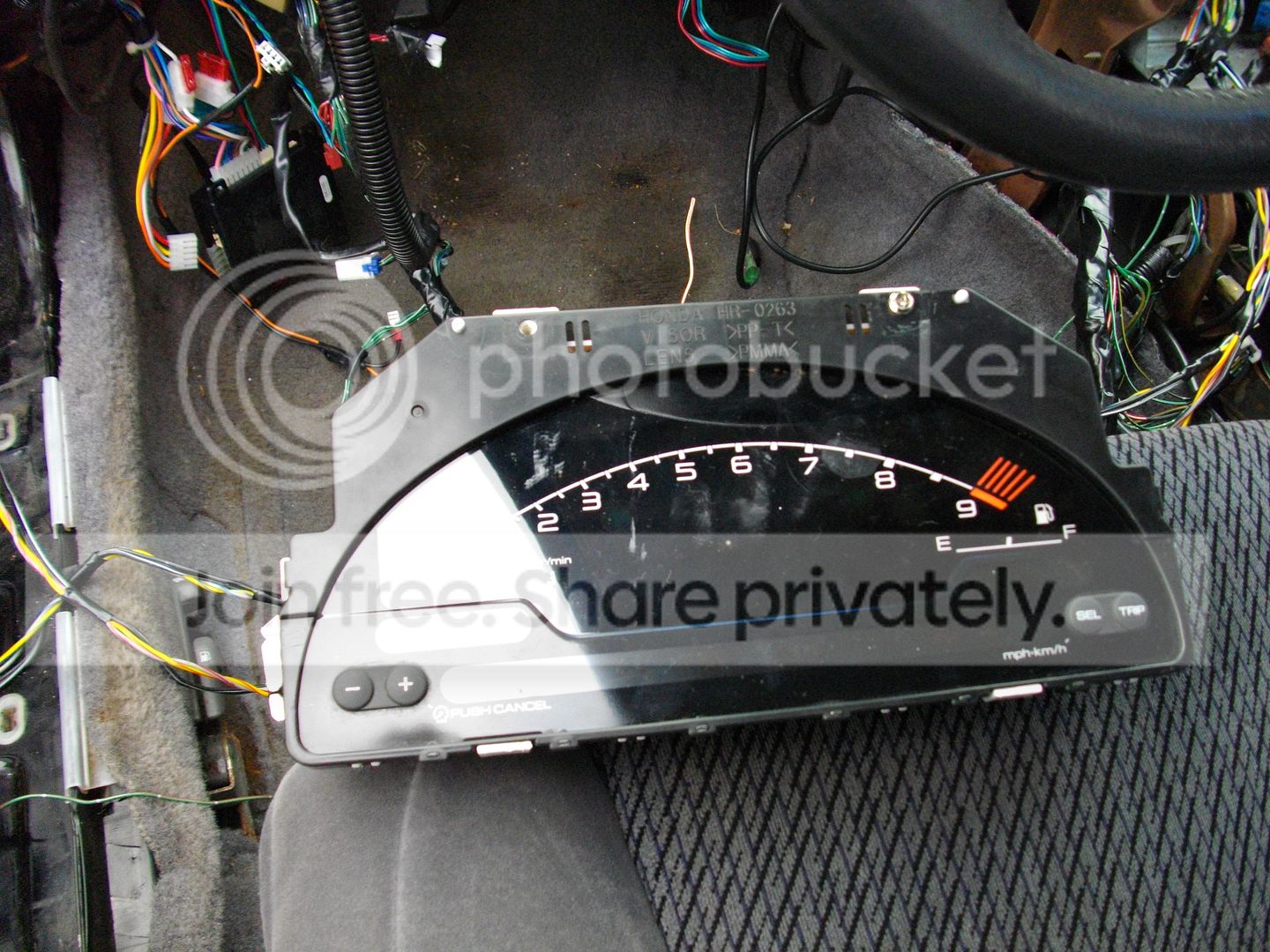 IMGP1248.jpg