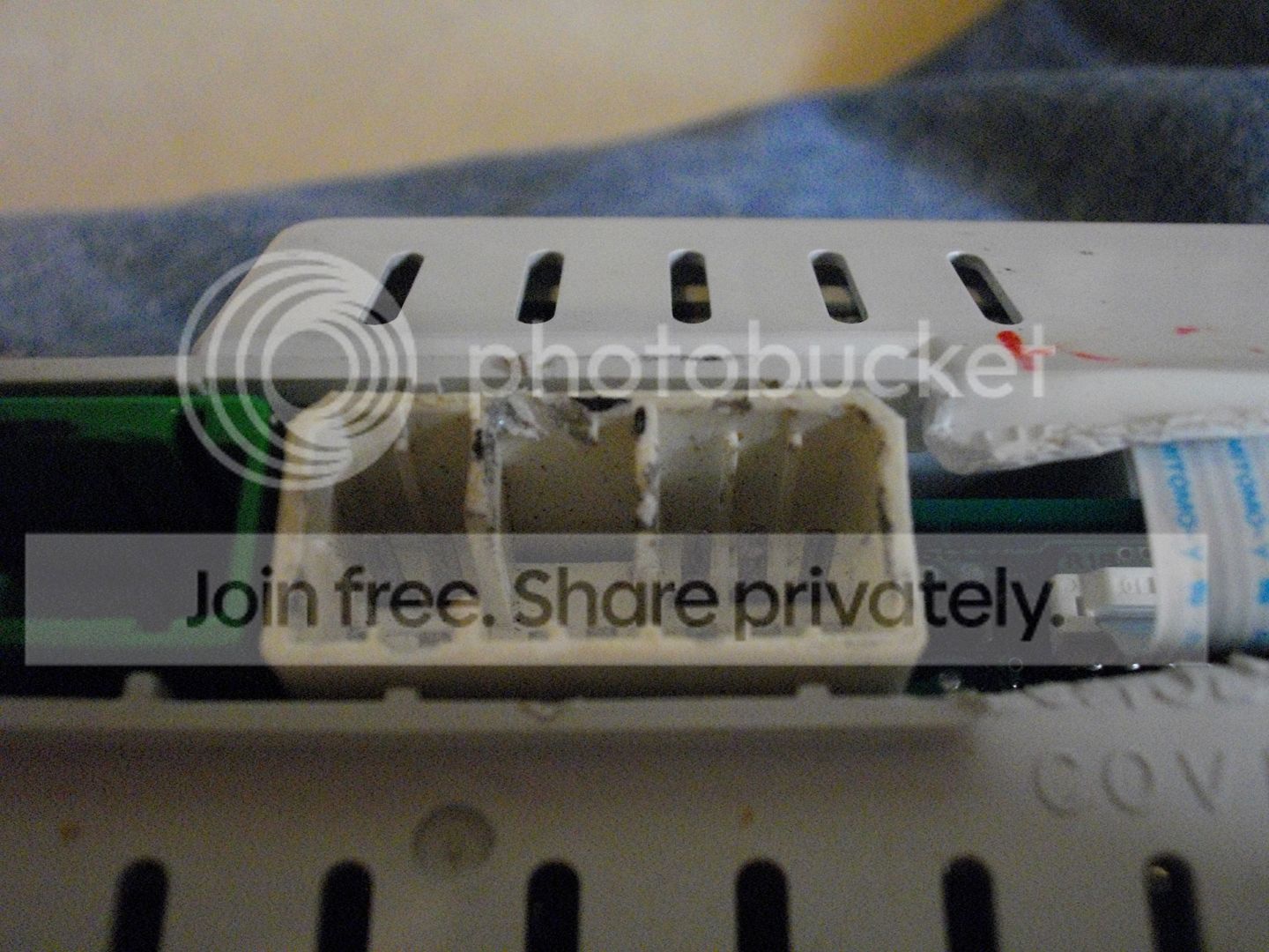 IMGP1304.jpg