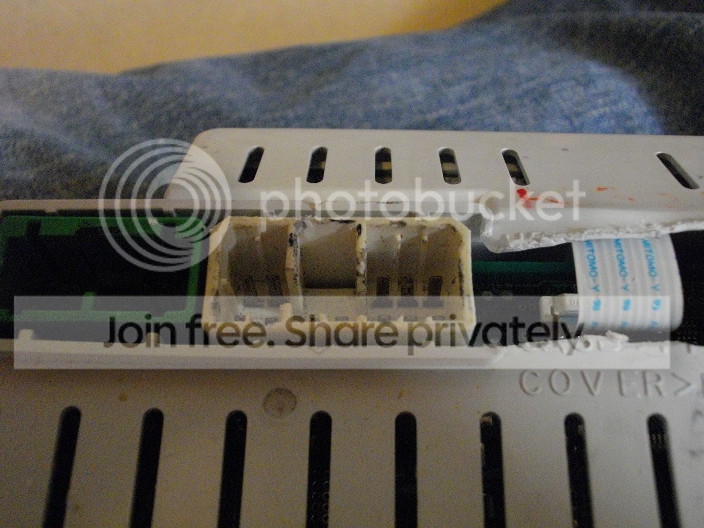 IMGP1305.jpg