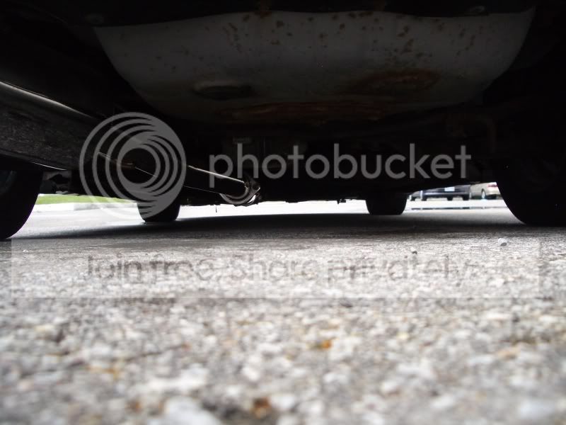 IMGP5079.jpg
